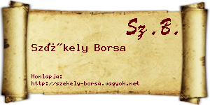 Székely Borsa névjegykártya